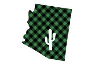Green Buffalo Plaid Arizona with Cactus Review